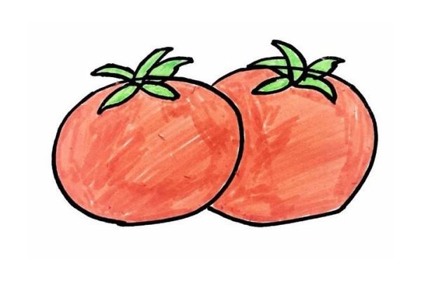 How to draw simple strokes of tomatoes