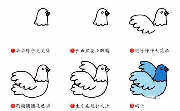 Cartoon peace dove simple drawing step by step color picture sketch