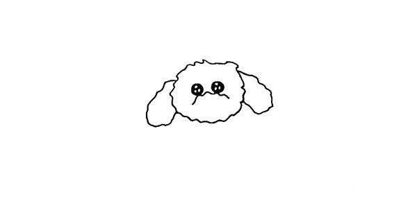 How to draw a teddy dog