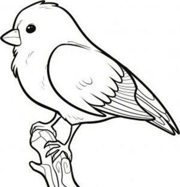 Simple sketch of bird standing on a branch