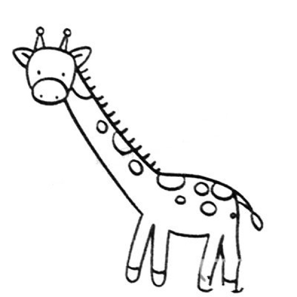 Simple Drawing for Intermediate Level Giraffe