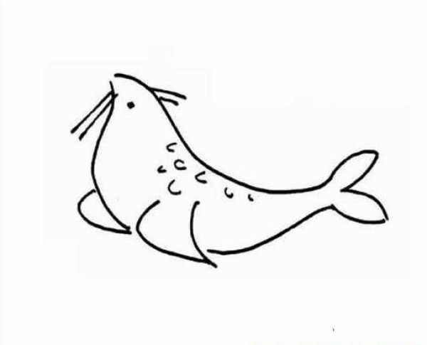 Childrens simple drawing pictures of seals