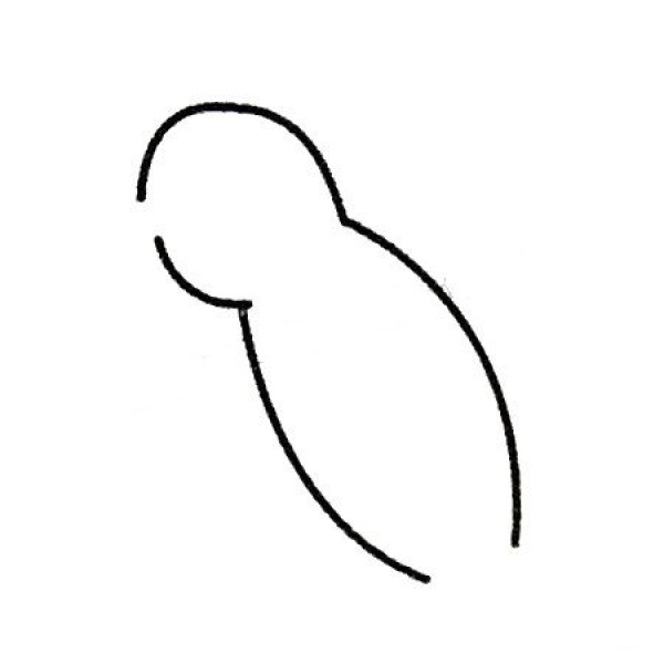 Complete collection of simple drawings of hummingbirds and drawing steps