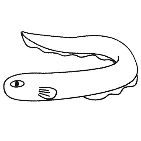 Complete collection of electric eel simple strokes and drawing steps