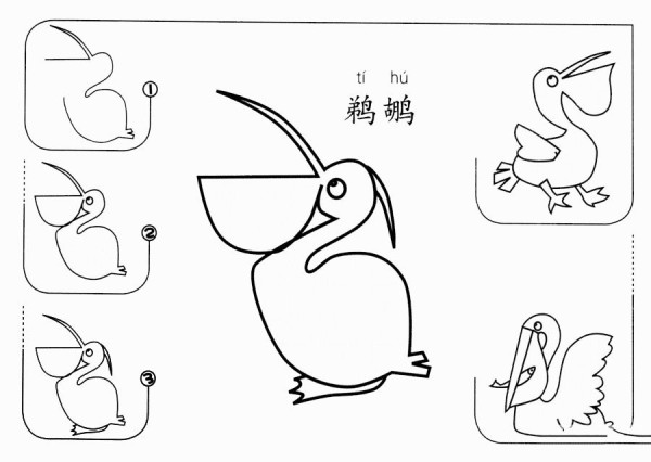 How to draw a pelican