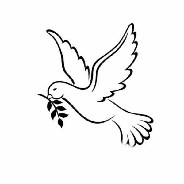 Peace dove simple drawing picture tutorial