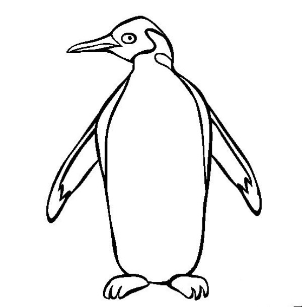 Complete collection of simple animal drawings Happy penguin simple drawing pictures