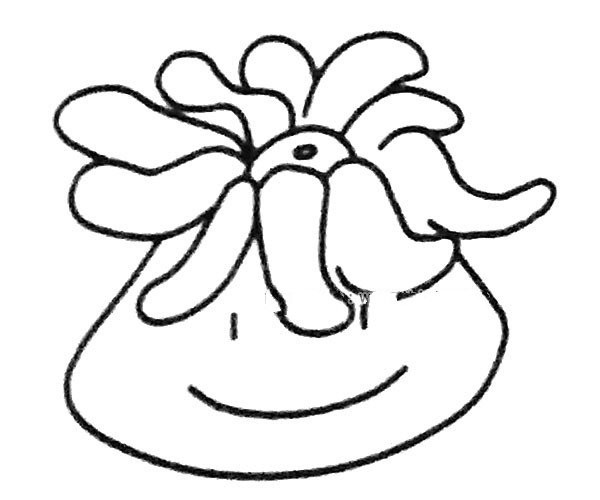 Learn to draw cartoon sea anemone in four steps