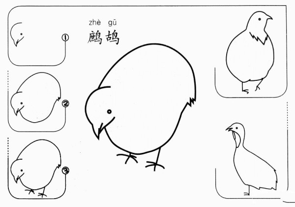 How to draw a partridge