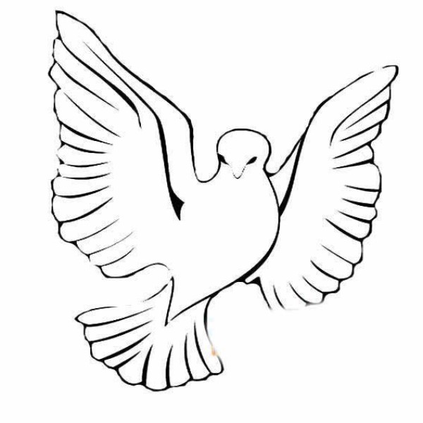 Beautiful simple picture of peace dove