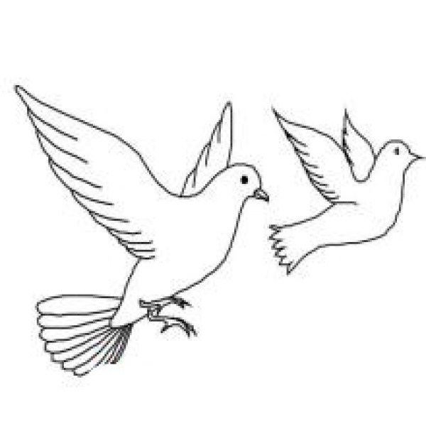 Simple drawing of flying dove of peace