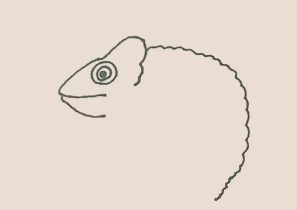 Simple drawing of chameleon