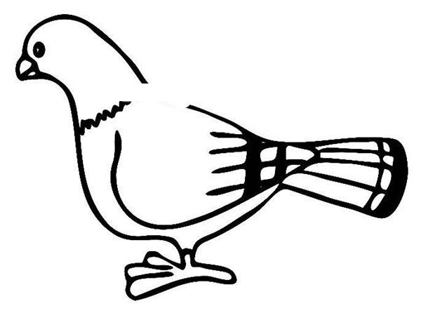 A complete picture collection of simple strokes of peace dove