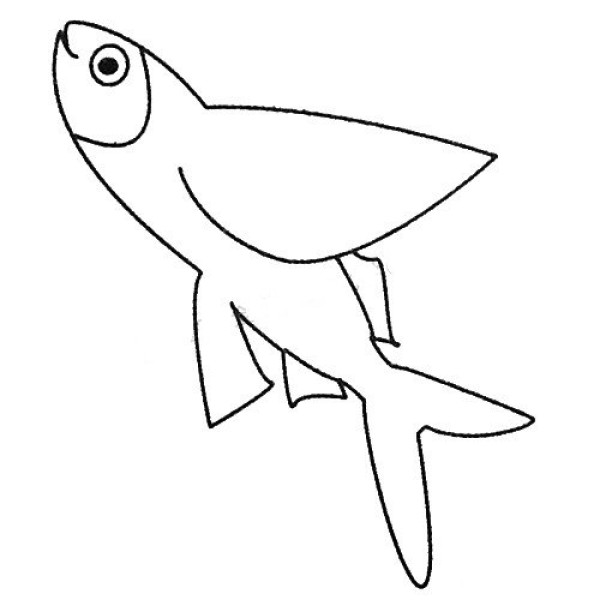 Complete collection of simple strokes of flying fish and drawing steps