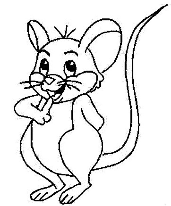 Clever little mouse simple drawing