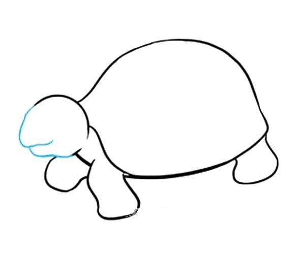 Simple steps to draw a turtle