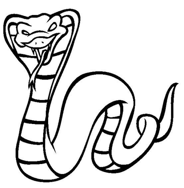 King cobra simple strokes picture