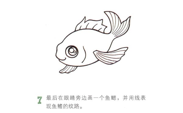 Learn to draw a beautiful goldfish step by step