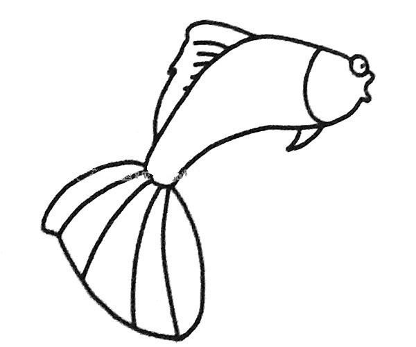 A set of beautiful guppy simple drawing pictures