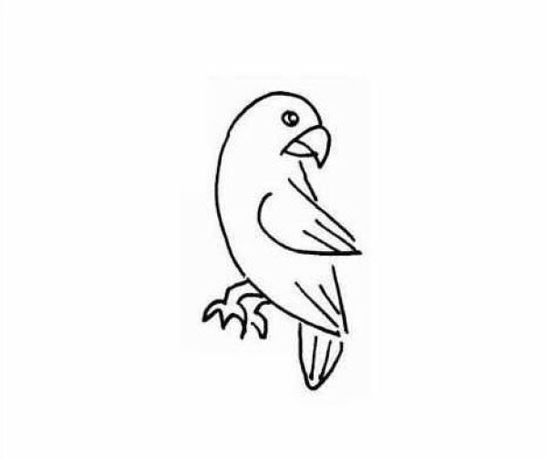 A complete collection of simple strokes of parrots