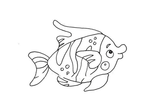 A complete collection of simple drawing pictures of 14 kinds of tropical fish