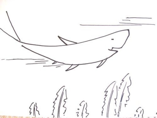 How to draw a whale with simple strokes