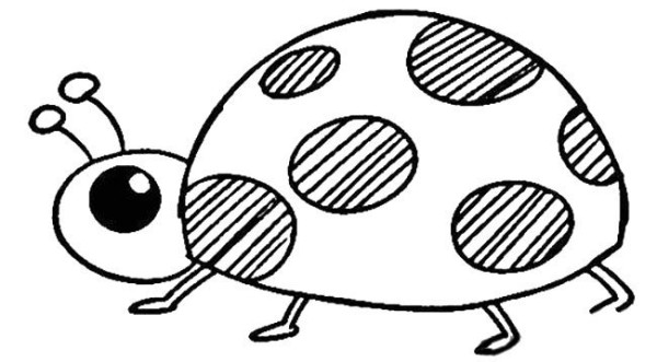 How to draw cute seven-star ladybugs in simple strokes