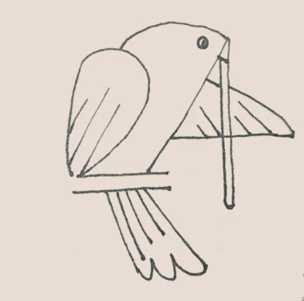 Simple drawing of pigeon