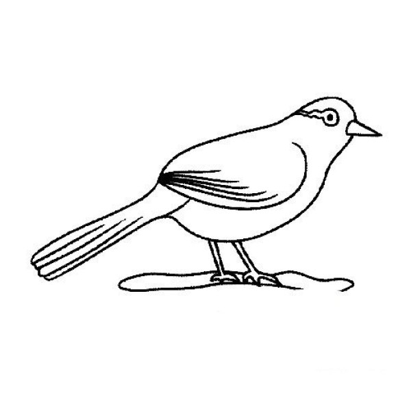 Thrush simple strokes picture