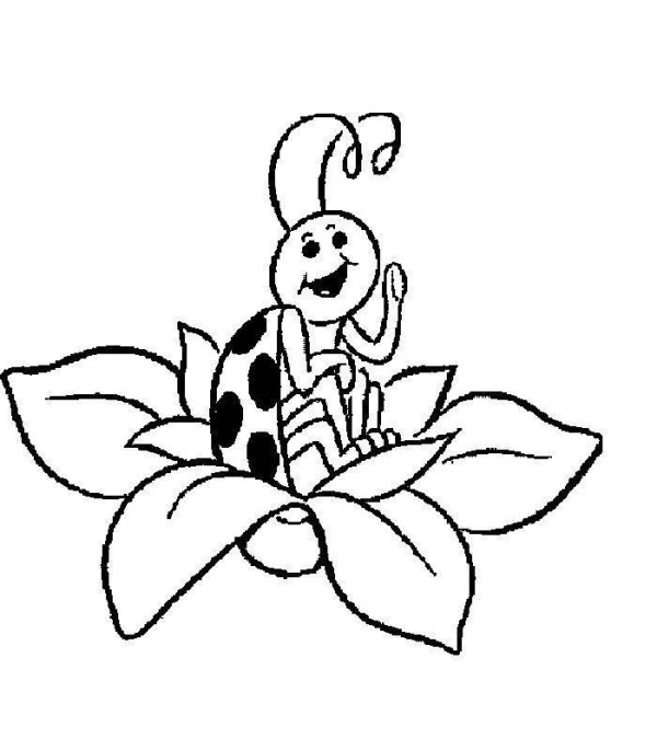 Simple drawing picture of small and cute seven-star ladybug