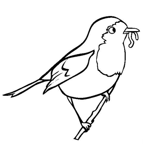 Simple drawing of a bird Simple drawing of a robin