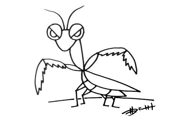 How to draw a cartoon mantis