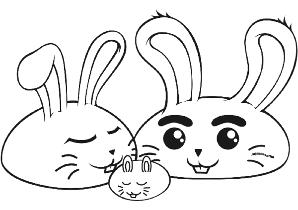 rabbit family