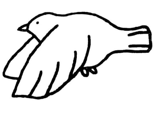 Simple bird sketch