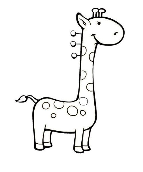 Animal simple drawing giraffe simple drawing method