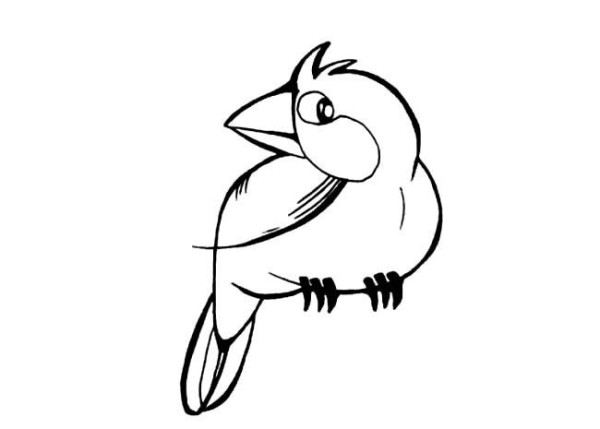 Complete collection of bird simple drawings Cute parrot simple drawings