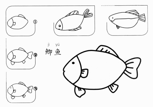 How to draw crucian carp