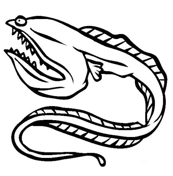 Marine life pictures Swallowing eels simple drawing pictures