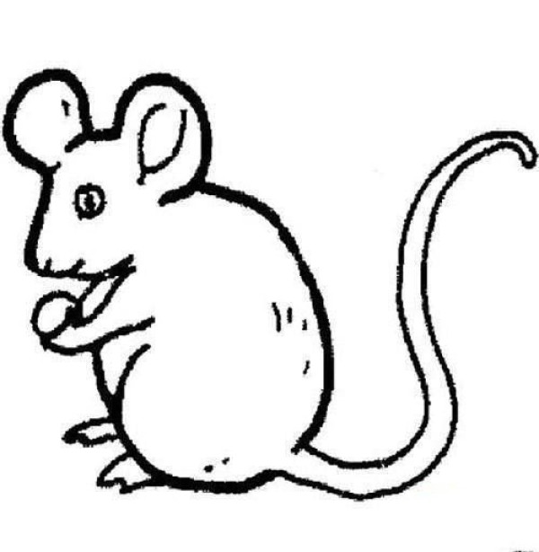 Simple drawing of mouse cartoon image