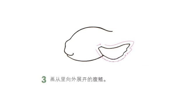 Learn to draw a beautiful goldfish step by step