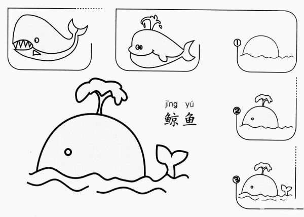 How to draw a whale