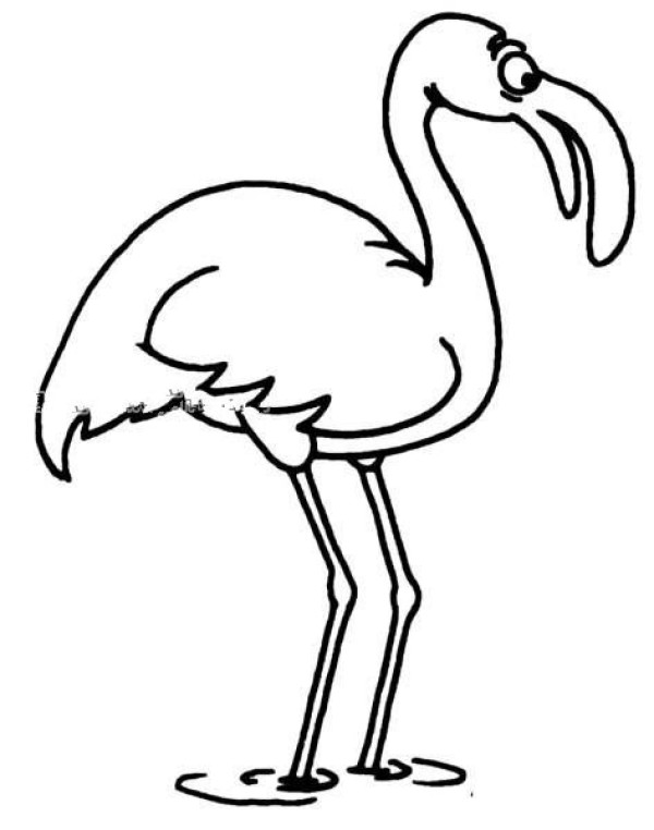 Flamingo simple drawing picture