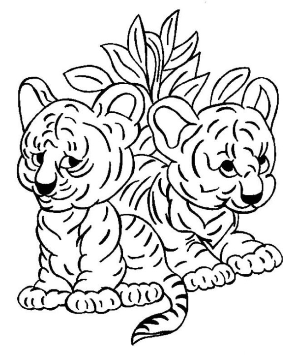 Simple drawing of tigers Simple drawing pictures of two baby tigers