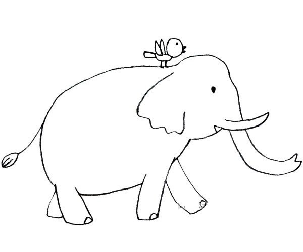 Cute animal simple drawing elephant