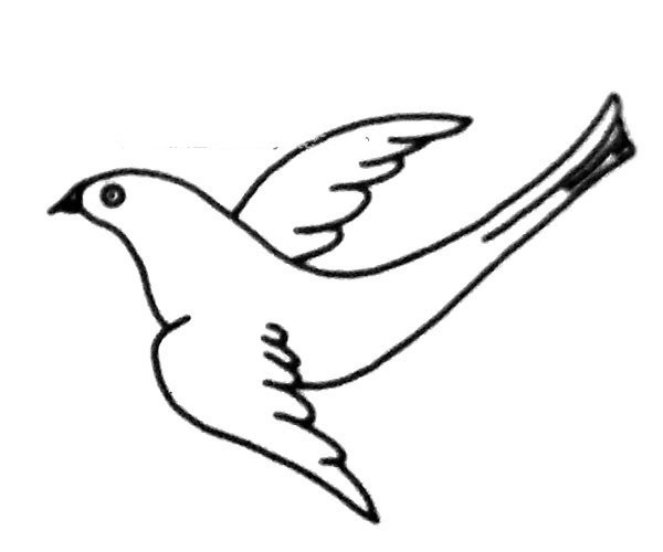 A set of beautiful magpie simple drawing pictures