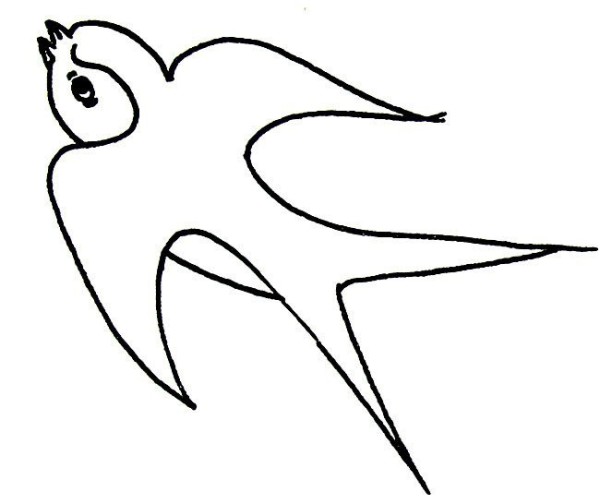 A complete collection of simple bird drawings. How to draw a swallow in simple strokes.