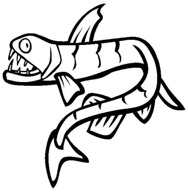 Marine life pictures Viper fish simple drawing pictures