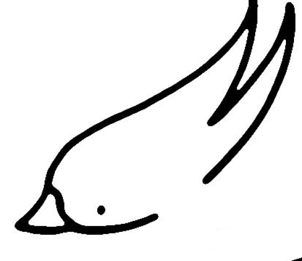 How to draw a swallow in simple strokes