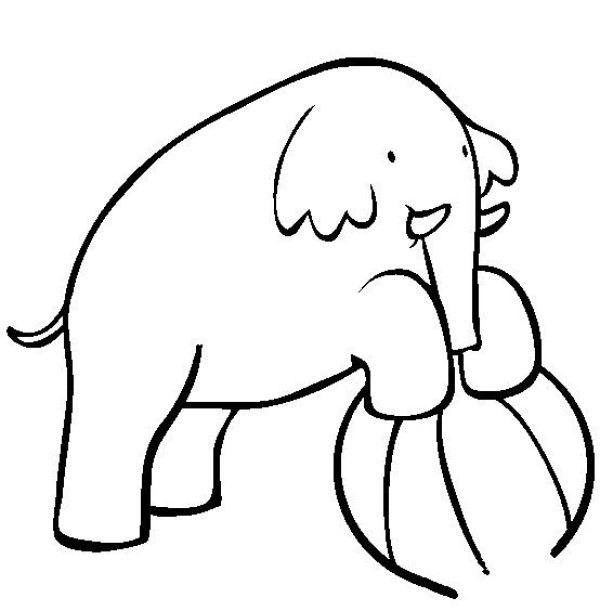 Zoo elephant simple drawing picture