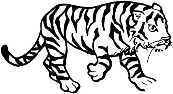 Comprehensive collection of tiger painting techniques